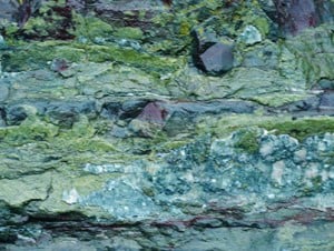 Rock mineralisation on the Copper Coast - The Irish Place