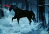 The Pooka in the form of a horse - The Irish Place