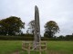 The Punchestown Longstone - The Irish Place