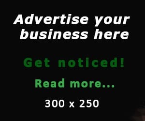 MPU Placeholder (300x250) - The Irish Place