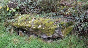 The Bronze Age Burial Cist which is situated a couple of metres away from the Dolmen - The Irish Place