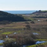 Seaward view from Dunhill Castle