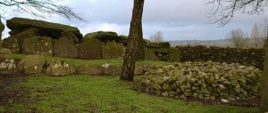 A view from the southern side showing the remains of the kerbing of the cairn that once covered this huge megalithic monument along with a modern cairn in the foreground. - The Irish Place