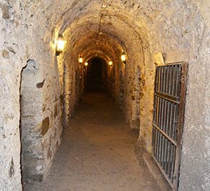 One of the two Crypts open for public viewing in St Michan's Church - The Irish Place