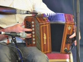 The Button Accordion - The Irish Place