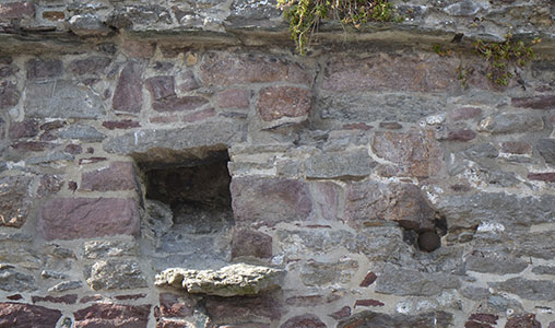 A cannonball fired during the Parliamentary siege in 1650 can be seen high on the tower to the right hand side of the entrance into Reginald's Tower. - The Irish Place