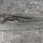 The Tomb of Bishop Richard Ledrede.