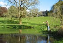 A Fly Fisherman casting his line on one of the lakes in the grounds of Ballyvolane House, Co. Cork - The Irish Place