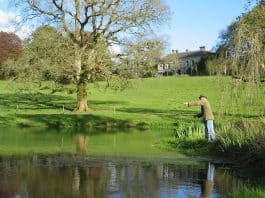 A Fly Fisherman casting his line on one of the lakes in the grounds of Ballyvolane House, Co. Cork - The Irish Place