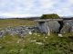 Parknabinnia Wedge Tomb on Roughan Hill - The Irish Place