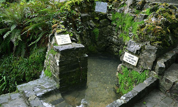 The Holy Well at Tobernalt - The Irish Place