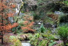 The beautiful serene setting of Tobernalt Holy Well - The Irish Place