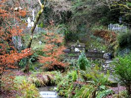 The beautiful serene setting of Tobernalt Holy Well - The Irish Place