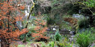 The beautiful serene setting of Tobernalt Holy Well - The Irish Place