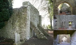 The buttressed west end wall showing the antae and internal views of the church at Kilree - The Irish Place