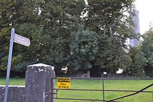 Kilree Monastic Site from the road - The Irish Place