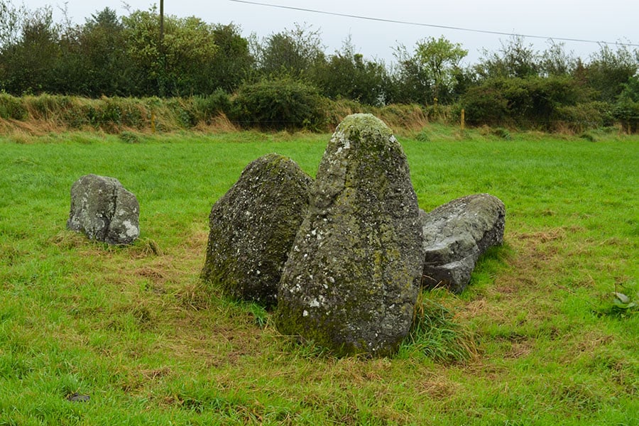 The Stone Row from a South Westerly direction.