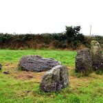 The Stone Row from a Northernly direction.