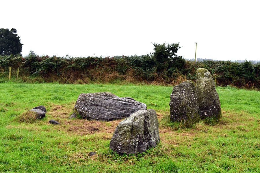 Knockboy Stone Row from a Northernly direction - The Irish Place