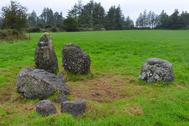 Another view of the Knockboy Stone Row - The Irish Place