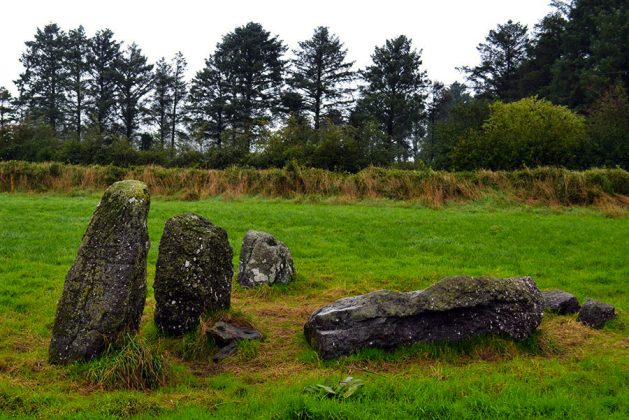 Knockboy Stone Row, the prostate stone is possibly an outlier stone - The Irish Place