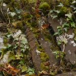 The second stone of the voussior which is part of an Ogham Stone.