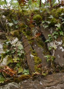 The second stone of the voussoir which is part of an Ogham Stone in Seskinan Church - The Irish Place