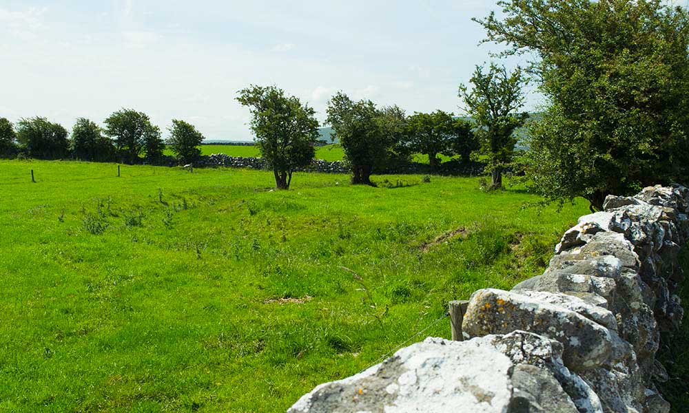 The Ringfort which the approach road to Corcomroe Abbey disects.