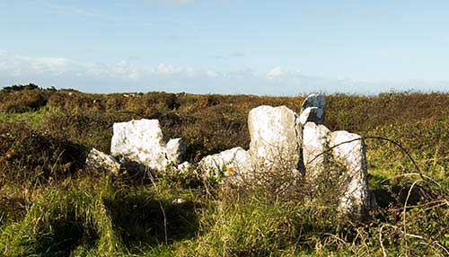 The Teergonean Court Tomb