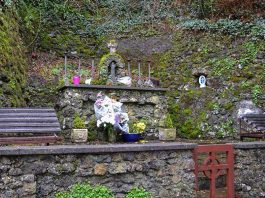 Tobernalt Holy Well