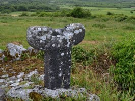 The Roughan Hill Replica Tau Cross